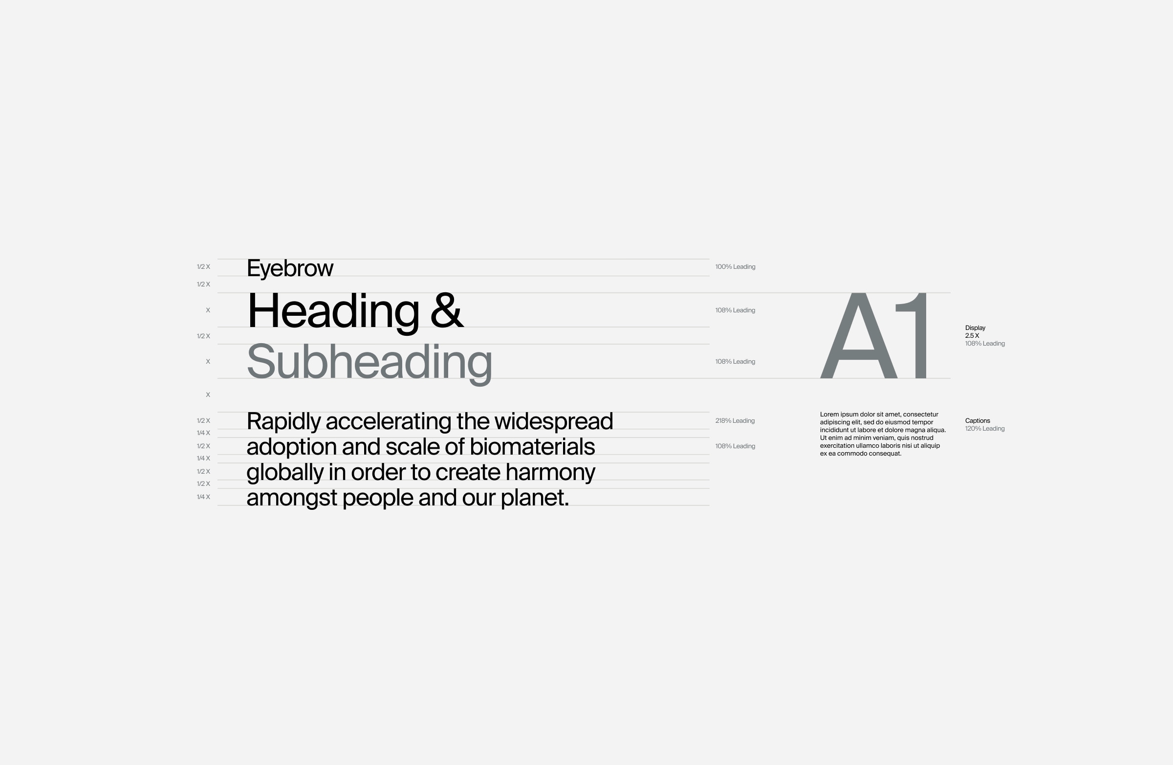 typography system