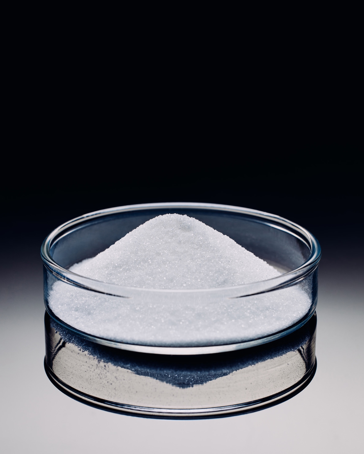 photo of sugar in a lab petri dish
