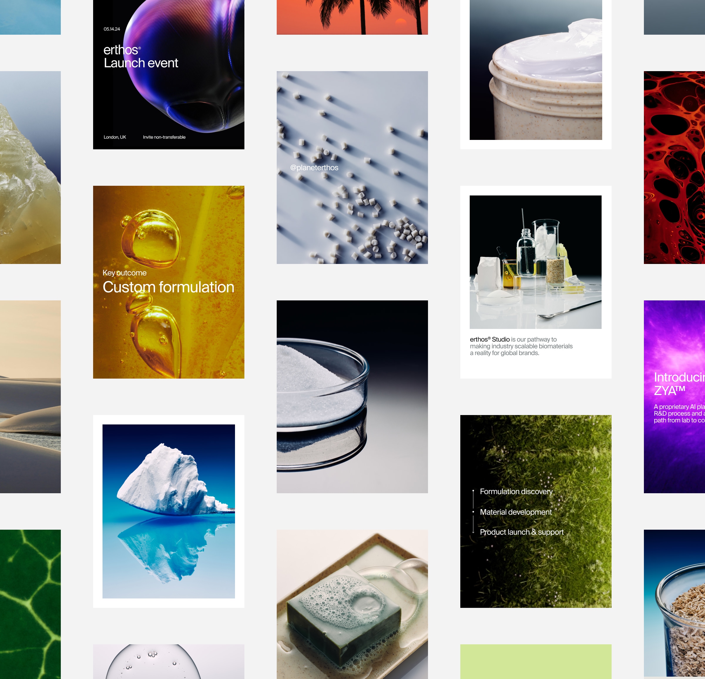 branding overview with imagery and type