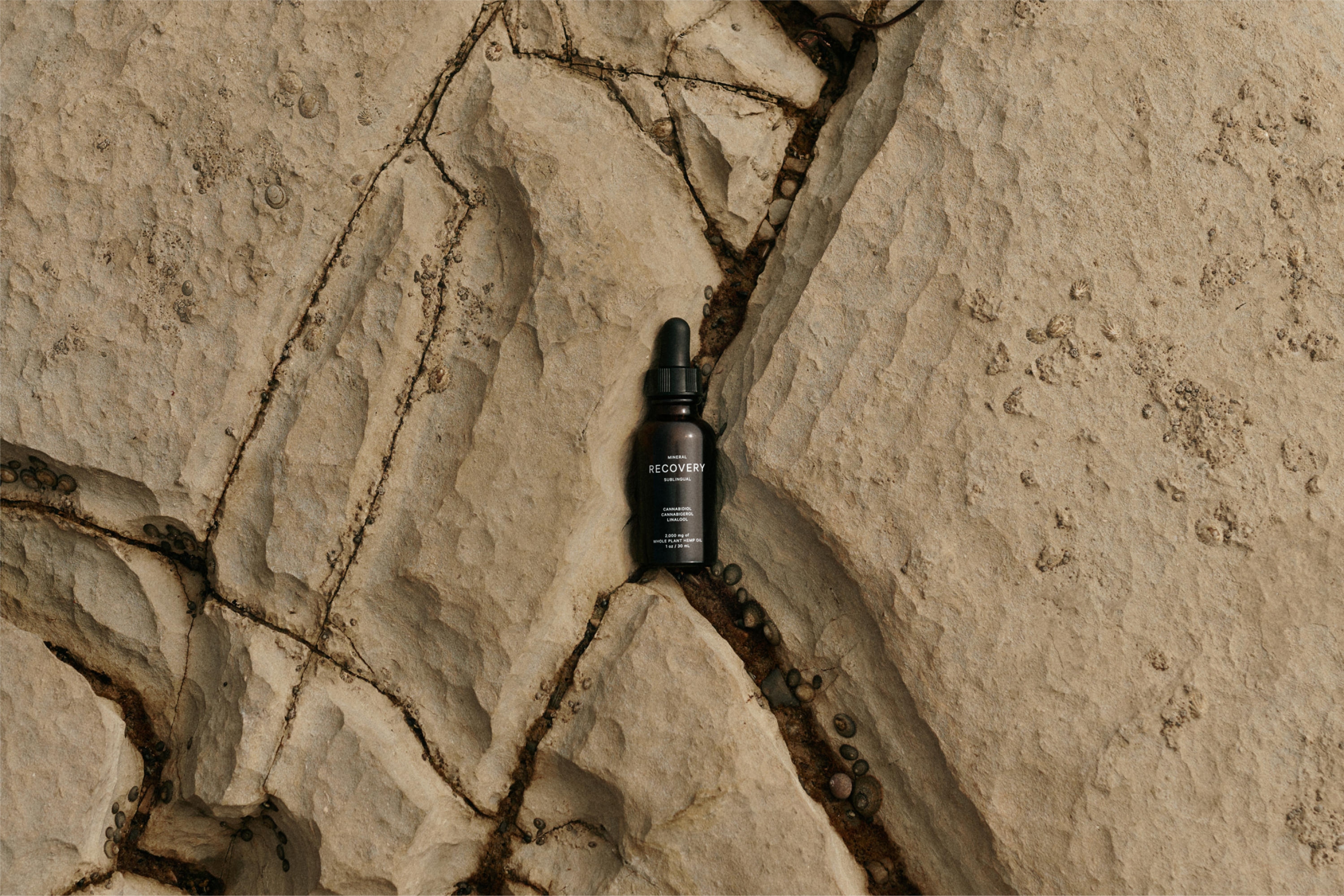 rock,path,walkway,flagstone,alcohol,beer,beverage,bottle