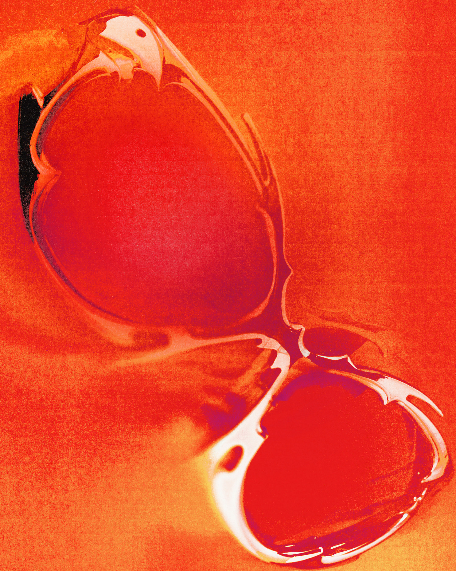 accessories,sunglasses,glasses