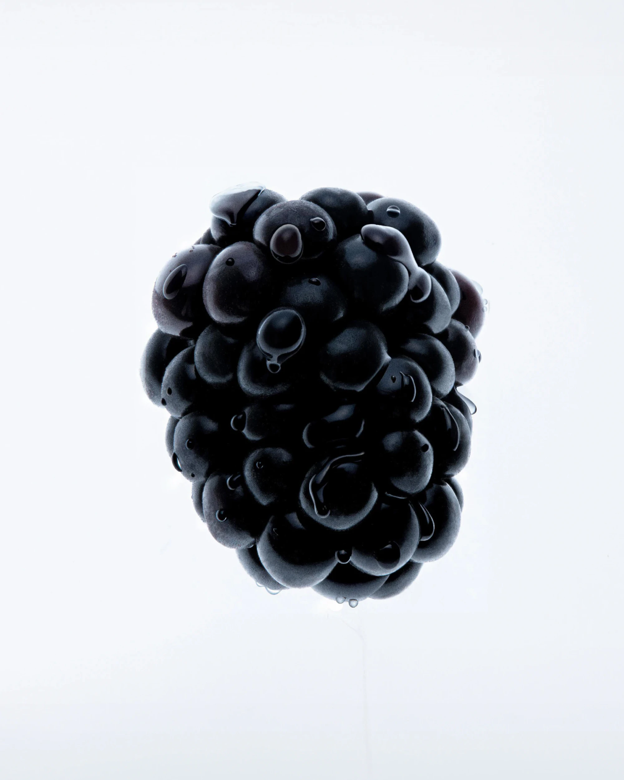 berry,food,fruit,plant,produce,blackberry